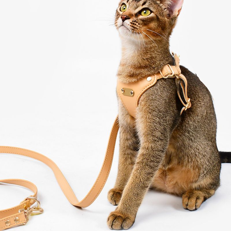 Bowtie Leather Cat Walking Kit (ID Tag included)