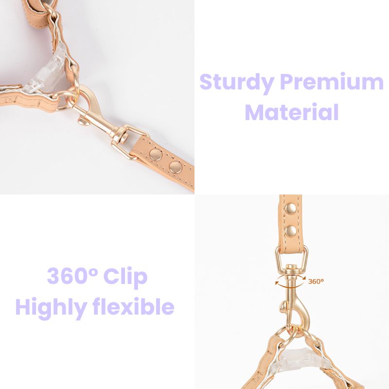 Bowtie Leather Cat Walking Kit (ID Tag included)