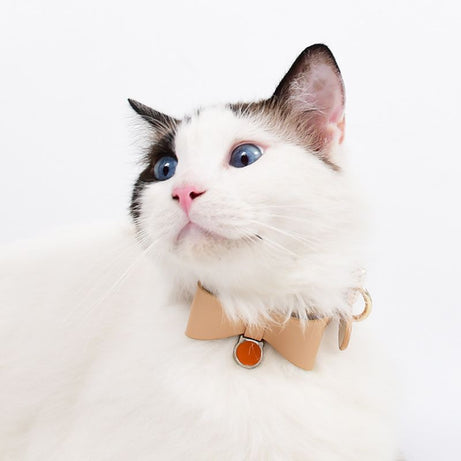 Bowtie Leather Cat Walking Kit (ID Tag included)