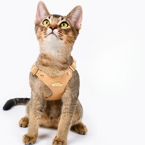 Bowtie Leather Cat Walking Kit (ID Tag included)