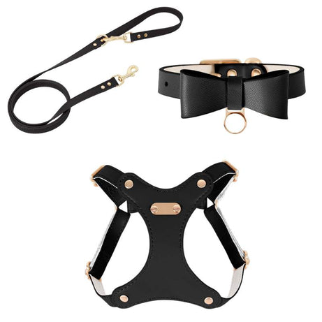 Bowtie Leather Cat Walking Kit 