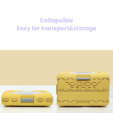 Collapsible Pet Travel Crate for Cats and Small Dogs