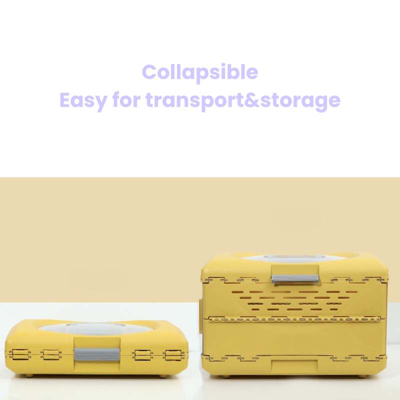 Collapsible Pet Travel Crate for Cats and Small Dogs