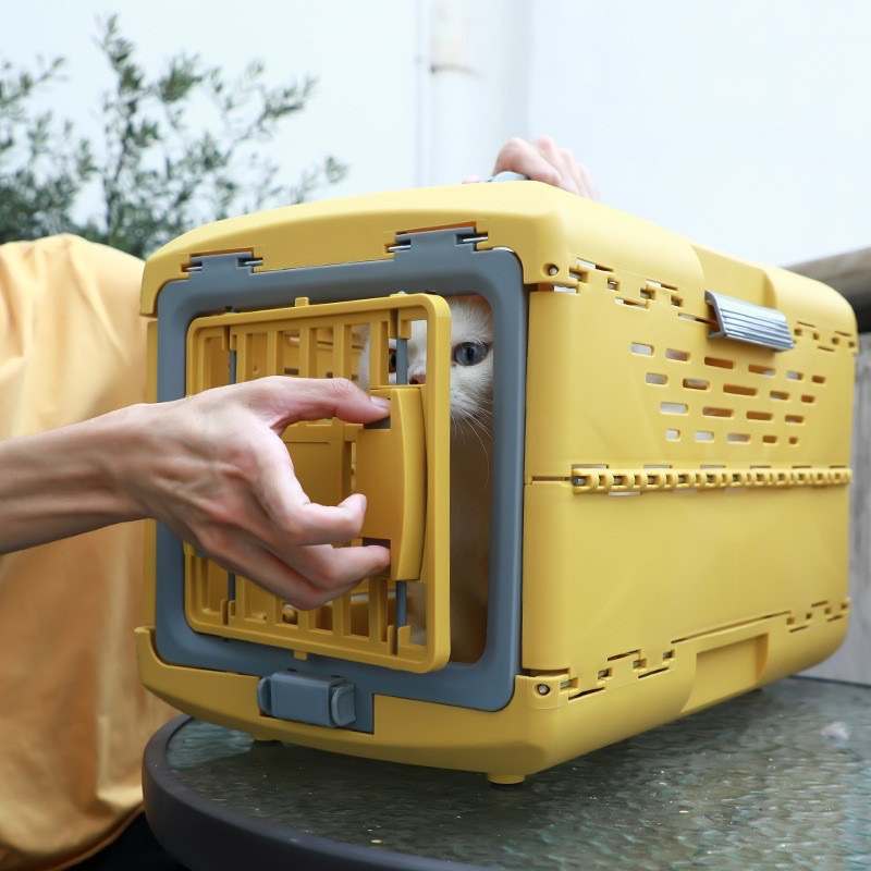 Collapsible Pet Travel Crate for Cats and Small Dogs