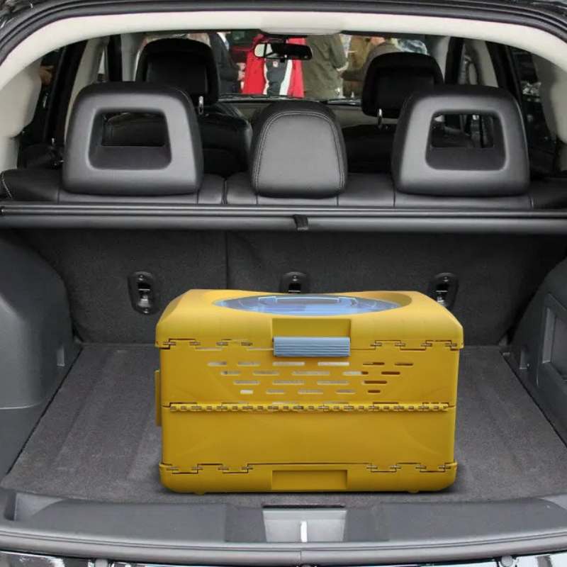 Collapsible Pet Travel Crate for Cats and Small Dogs