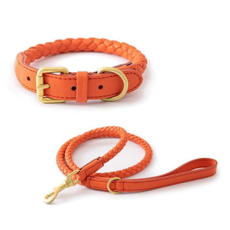 Premium Handcrafted Leather Dog Collar Kit Tropical Orange