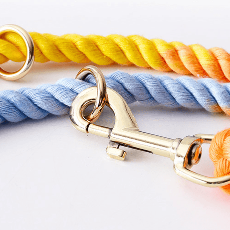 Versatile Hands-Free Dog Walking Kit