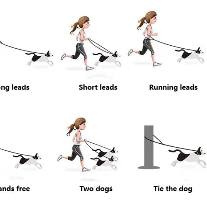 Versatile Hands-Free Dog Walking Kit