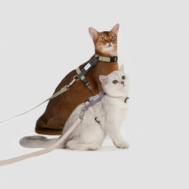 FeatherLite H-Harness Cat Walking Kit