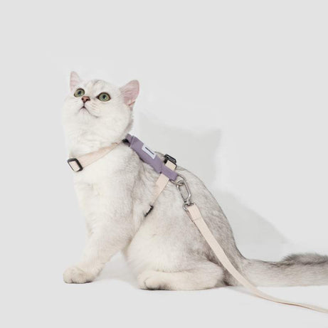 FeatherLite H-Harness Cat Walking Kit