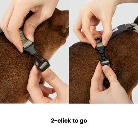 FeatherLite H-Harness Cat Walking Kit