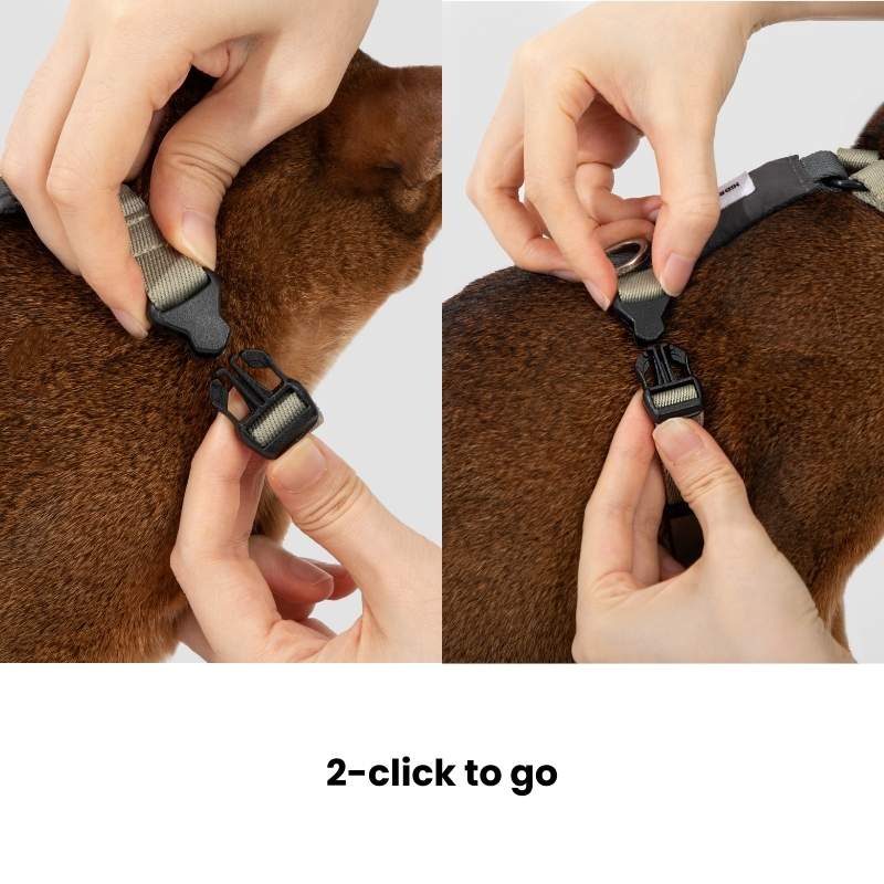 FeatherLite H-Harness Cat Walking Kit