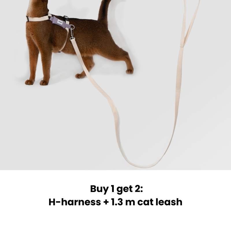 FeatherLite H-Harness Cat Walking Kit