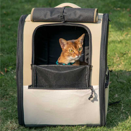 FirstClass Pet Carrier Bag: Spacious pet carrier with cat, great for outdoor outings