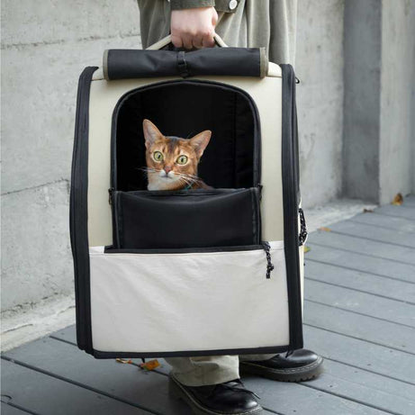 Julibee's FirstClass Pet Carrier Bag - Cat Inside, Portable Travel Bag for Pets