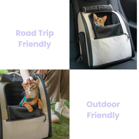 FirstClass Pet Carrier Bag - Road Trip & Outdoor Friendly, Cat Inside