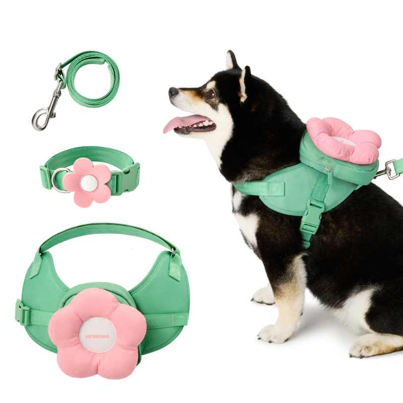 Vetreska Flora Dog Harness with backpack & Collar & Lead 3-in-One Set M 3-in-1 Walking Sets(harness&collar&lead)