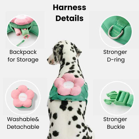 Vetreska Flora Dog Harness with backpack & Collar & Lead 3-in-One Set