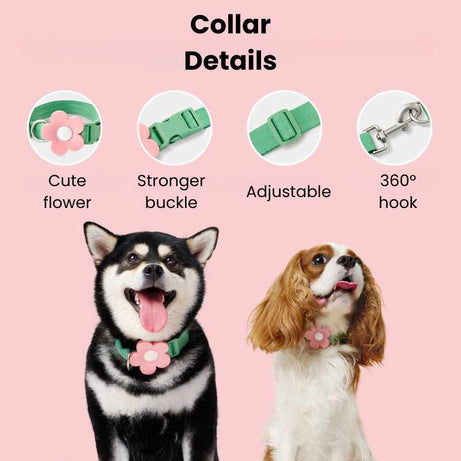 Vetreska Flora Dog Harness with backpack & Collar & Lead 3-in-One Set