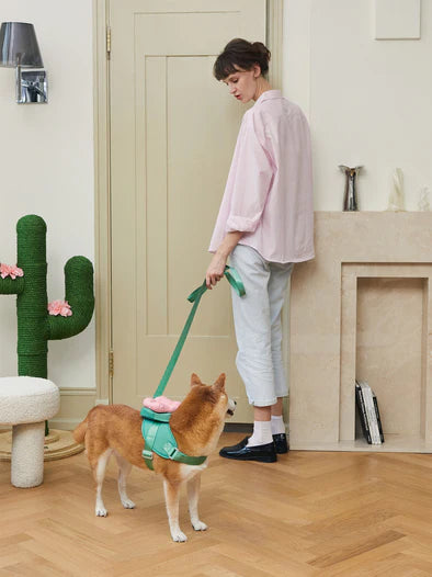 Vetreska Flora Dog Harness with backpack & Collar & Lead 3-in-One Set