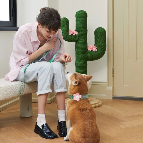 Vetreska Flora Dog Harness with backpack & Collar & Lead 3-in-One Set