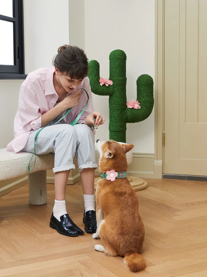 Vetreska Flora Dog Harness with backpack & Collar & Lead 3-in-One Set