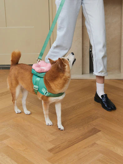 Vetreska Flora Dog Harness with backpack & Collar & Lead 3-in-One Set