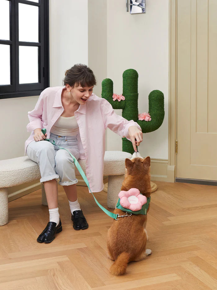 Vetreska Flora Dog Harness with backpack & Collar & Lead 3-in-One Set