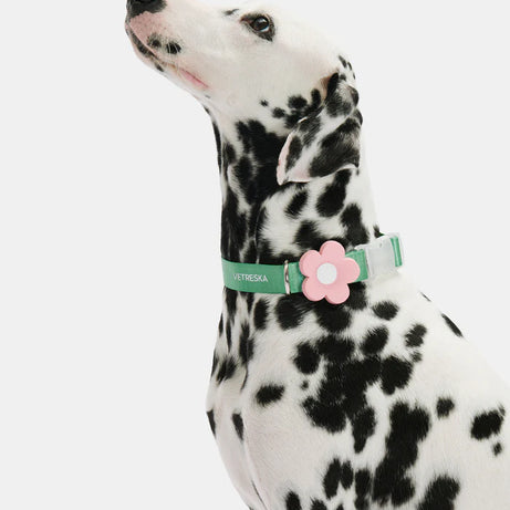 Vetreska Flora Dog Harness with backpack & Collar & Lead 3-in-One Set