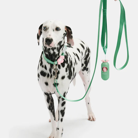 Vetreska Flora Dog Harness with backpack & Collar & Lead 3-in-One Set