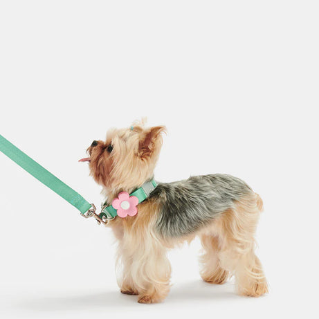 Vetreska Flora Dog Harness with backpack & Collar & Lead 3-in-One Set