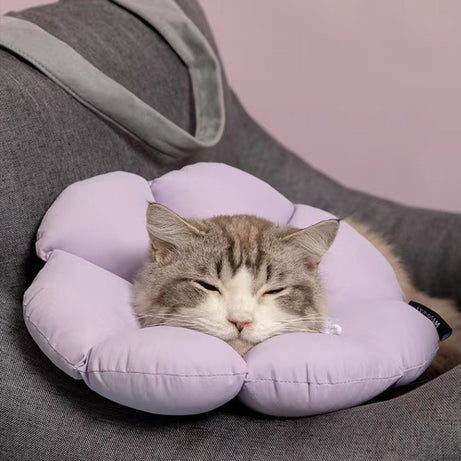 Flora Pet Cone Collar