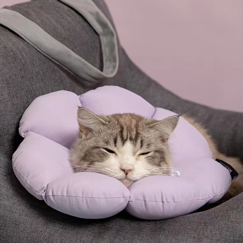 Flora Pet Cone Collar