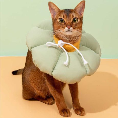 Flora Pet Cone Collar Green Large