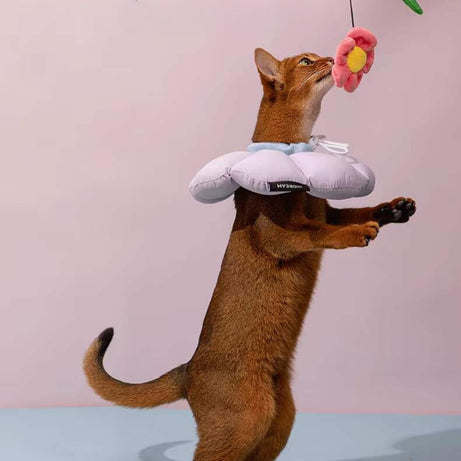 Flora Pet Cone Collar