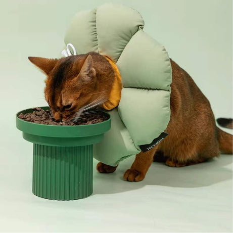 Flora Pet Cone Collar