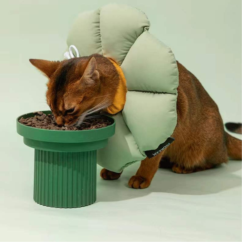 Flora Pet Cone Collar