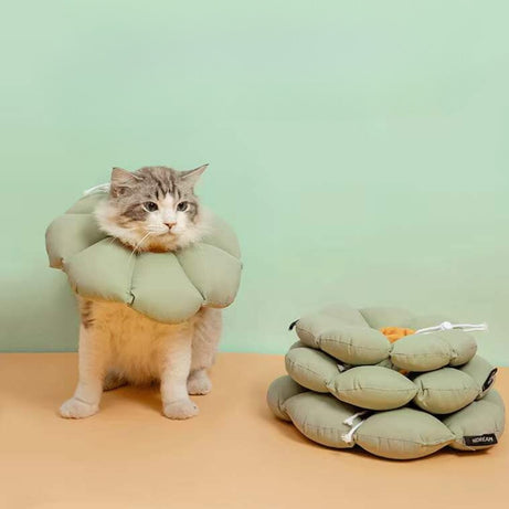 Flora Pet Cone Collar