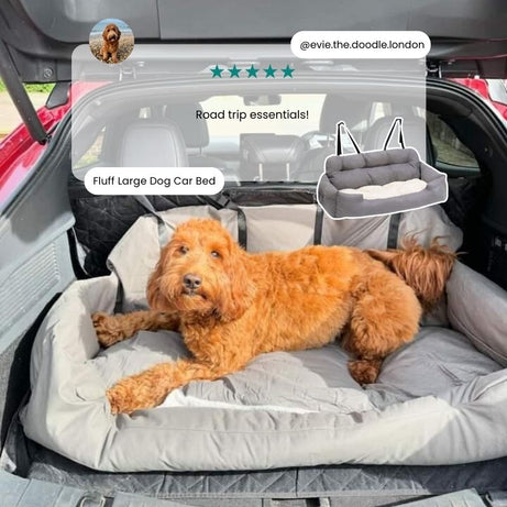 Fluff Dog Car Seat
