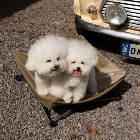 urbanTrail Moisture-Resistant Portable Pet Cot