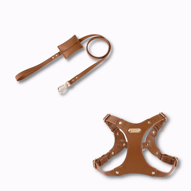 Hoop Vegan Leather Dog Harness Kit All-IN-ONE Brown