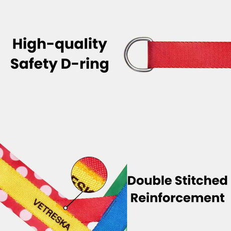 Vetreska Chroma Dog Harness Walking Sets