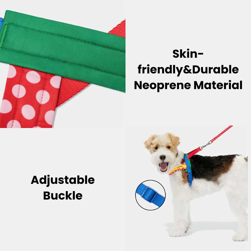 Vetreska Chroma Dog Harness Walking Sets