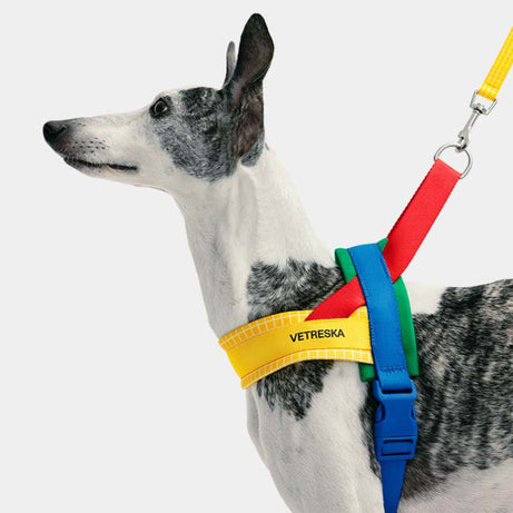 Vetreska Chroma Dog Harness Walking Sets