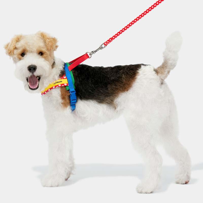 Vetreska Chroma Dog Harness Walking Sets