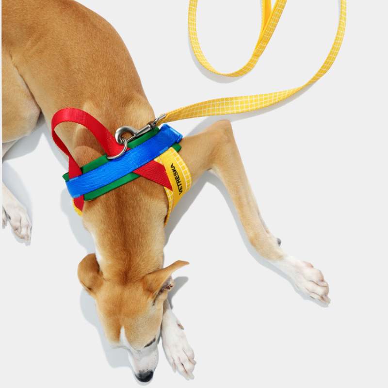 Vetreska Chroma Dog Harness Walking Sets
