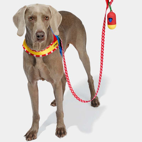 Vetreska Chroma Dog Harness Walking Sets