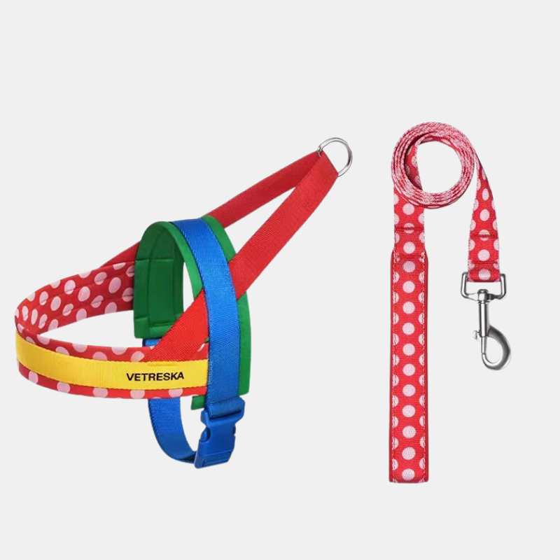Vetreska Chroma Dog Harness Walking Sets Red Walking Set