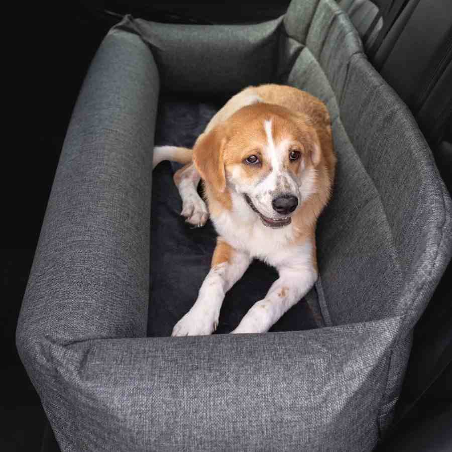 Luxury Large Dog Car Bed - Jullibee's