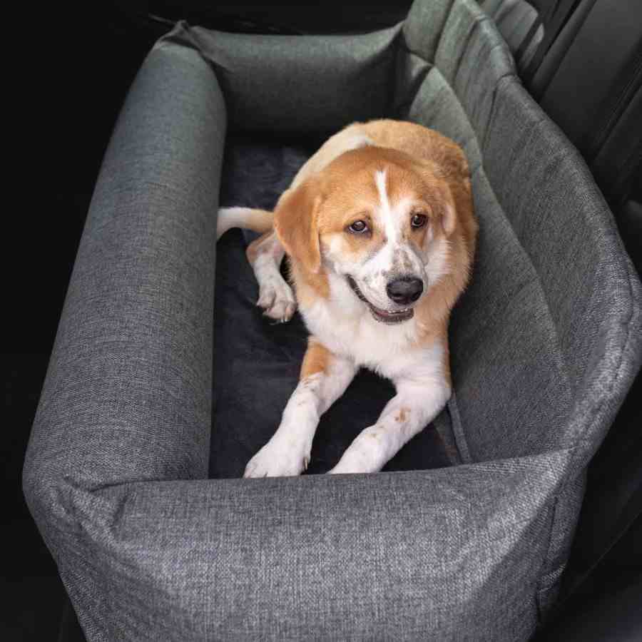 Luxury Large Dog Car Bed